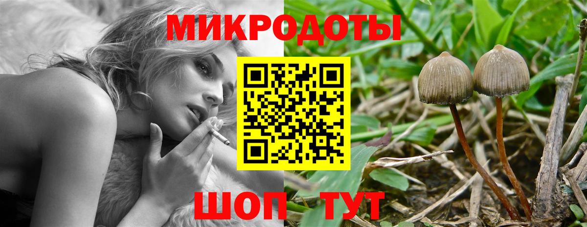 Галлюциногенные грибы Psilocybe Ликино-Дулёво